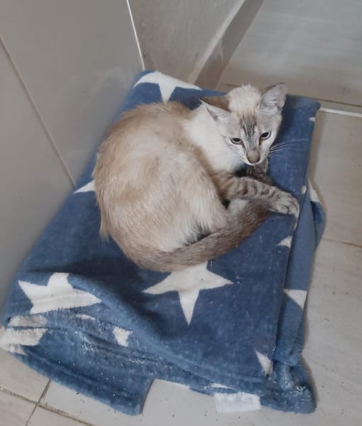 LUNA