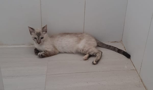 LUNA