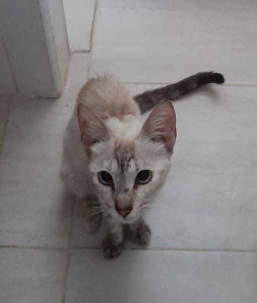 LUNA