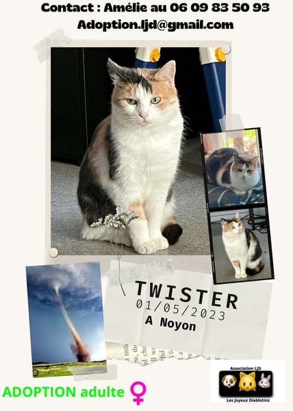 Twister