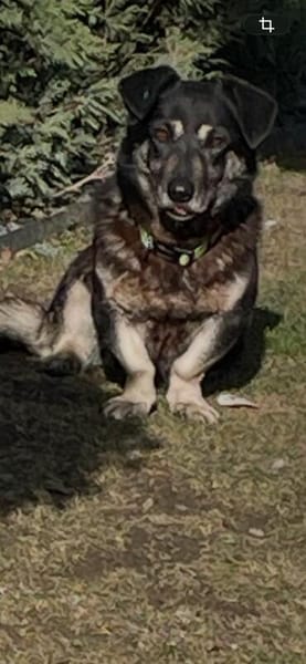 Nasti sucht ruhiges Zuhause