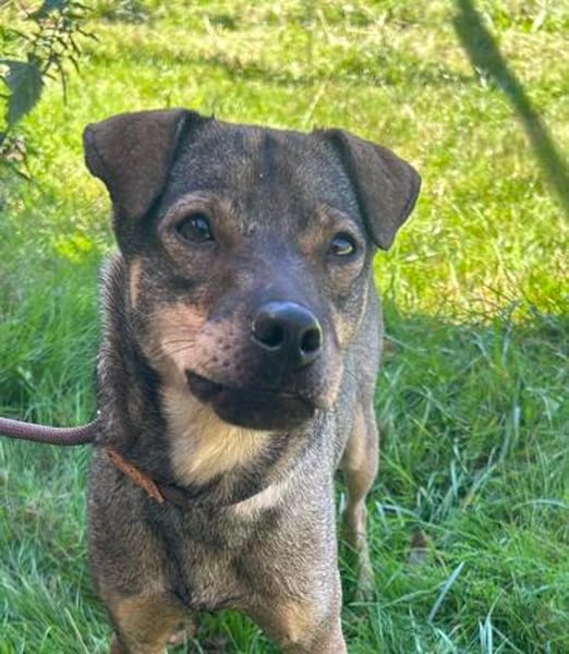 Loki, mega lieber Sonnenschein