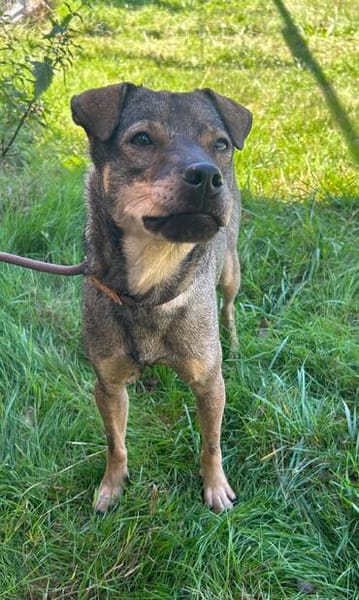 Loki, mega lieber Sonnenschein
