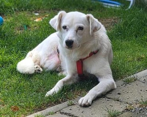 Luna ist ein liebevolles und fröhliches Mädchen