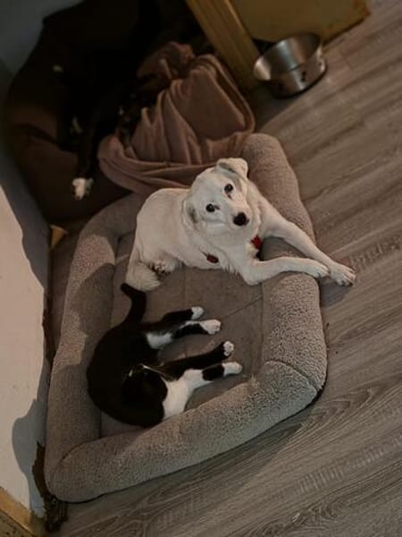 Luna ist ein liebevolles und fröhliches Mädchen