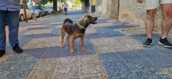 Mia