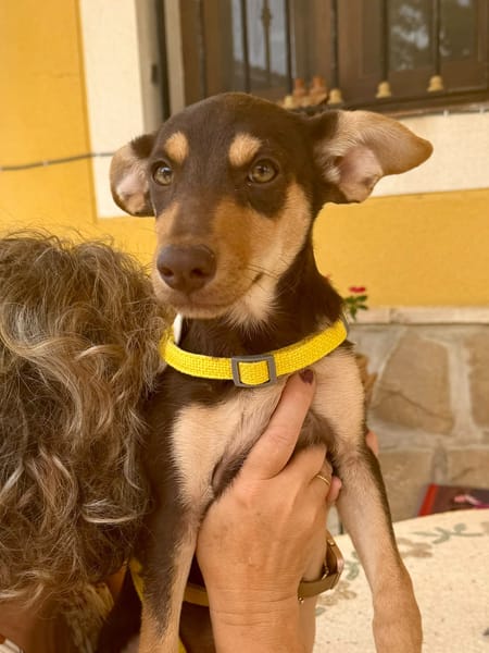 LOLA (Martina)