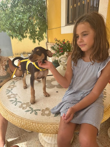 LOLA (Martina)