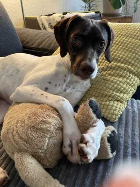 Lottie - Wirbelwind sucht Neustart