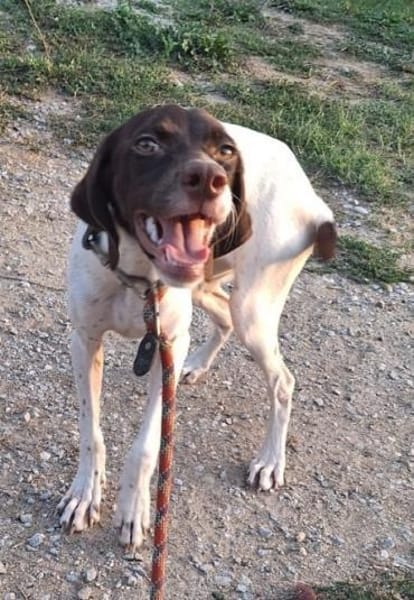 Lottie - Wirbelwind sucht Neustart
