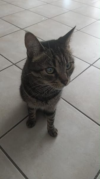Honey W ~6jahre