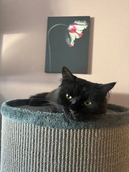 Dorofei sucht liebevolles Zuhause