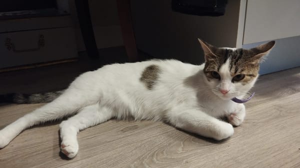 LULU