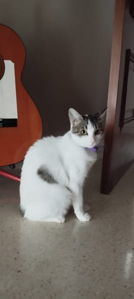 LULU