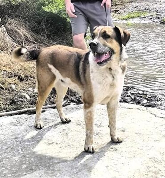 GOLFO möchte dein Leben bereichern