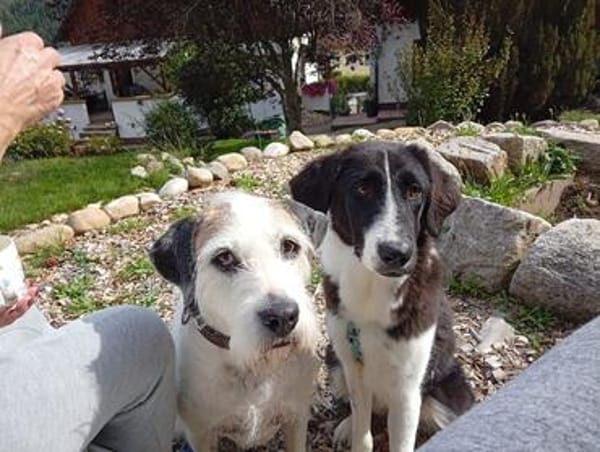 ❤Maja...wünscht sich eine Familie mit Kinder!