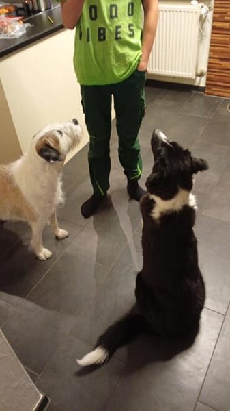 ❤Maja...wünscht sich eine Familie mit Kinder!