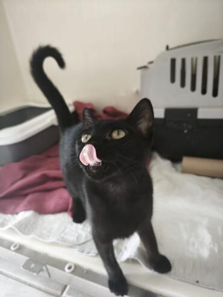 Bluey & Nouar suchen ihr gemeinsames Zuhause