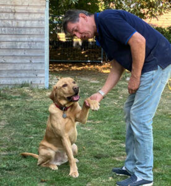MR. SAM: toller Hund, der absolut klare Führung braucht