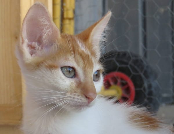 KIMY (réservée)