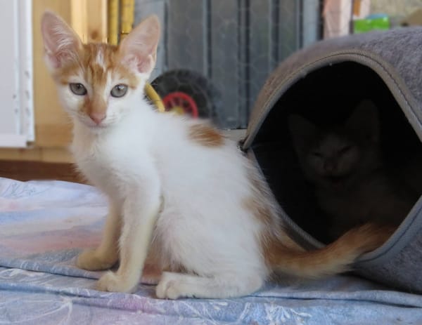 KIMY (réservée)