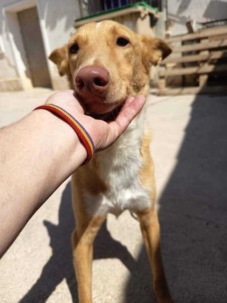 BERTO