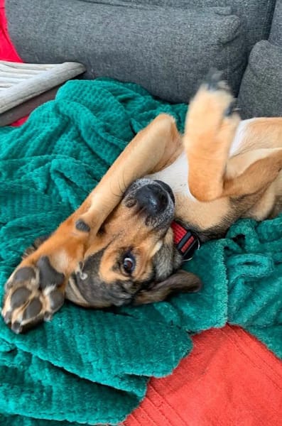 Ella