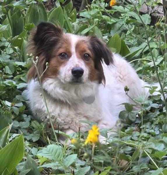 Betty die ruhige kleine Maus / in München