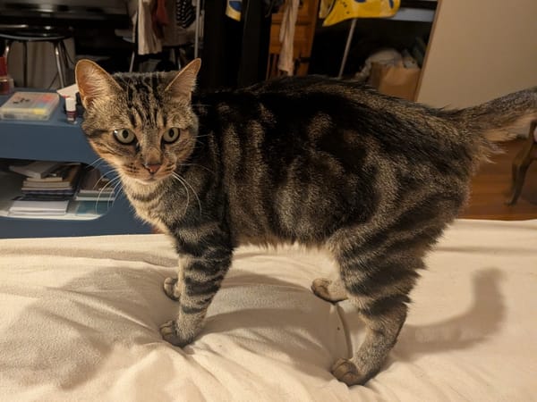 Nala