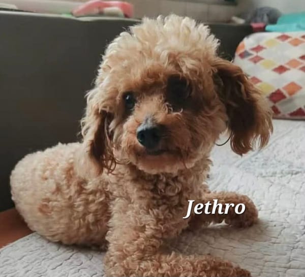 JETHRO