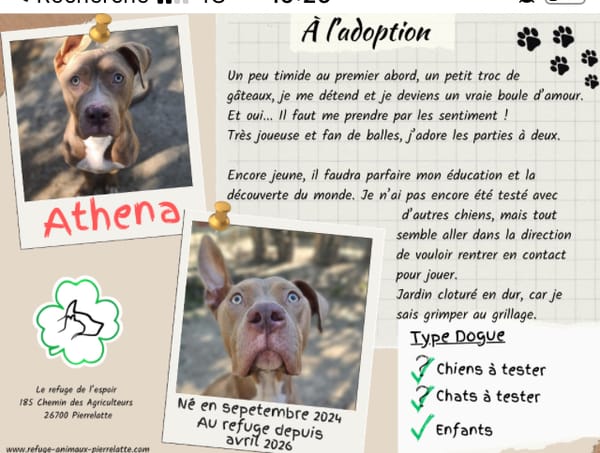 Athéna