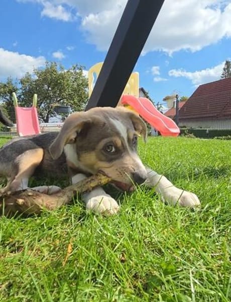 COOPER - schau mir in die Augen Kleines und ich bin Dein!