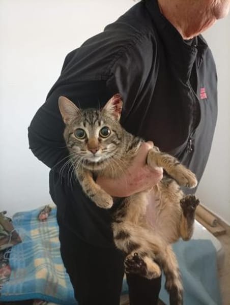 liebenswerte Nala bei München (ALM)