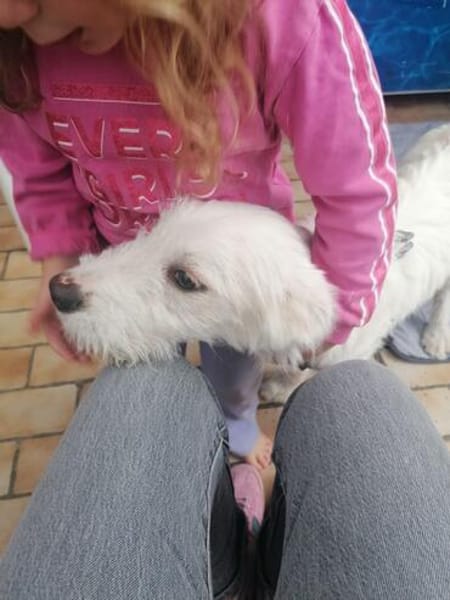 Charlie