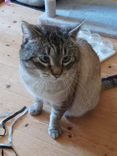 Mobby unser Romeo