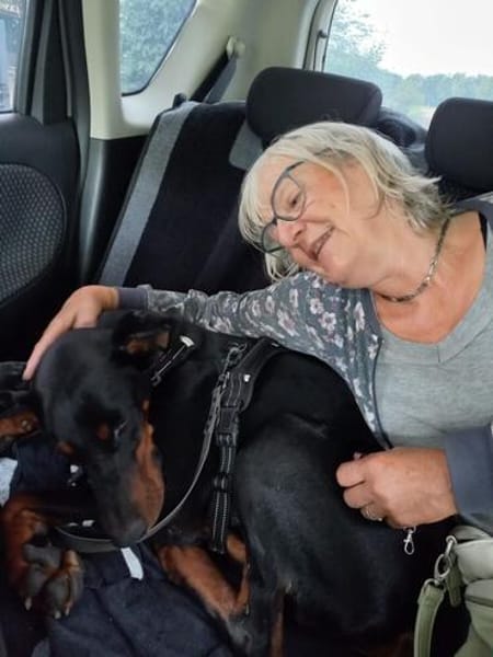 Enzo - kein einfacher Dobermann