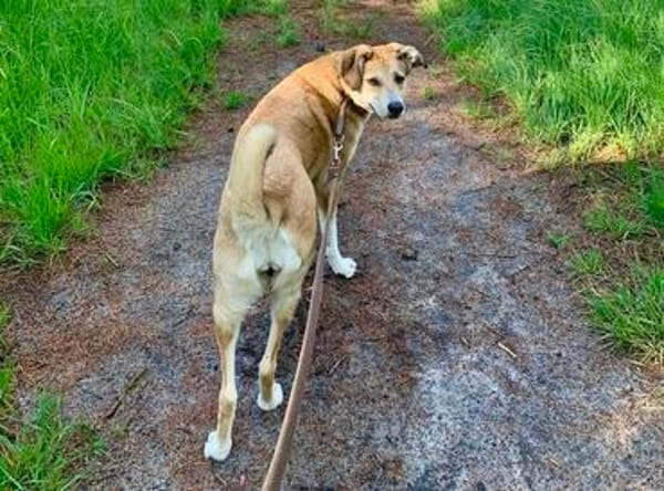 Polly sucht ihren sicheren Hafen