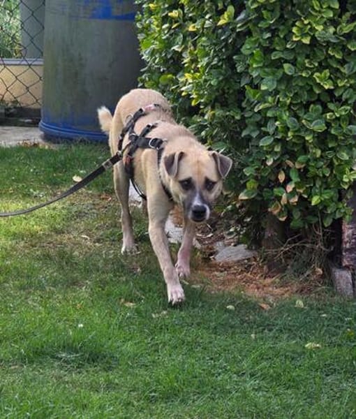 Luca sucht seine Familie