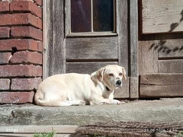 Gretel sucht ihre Familie