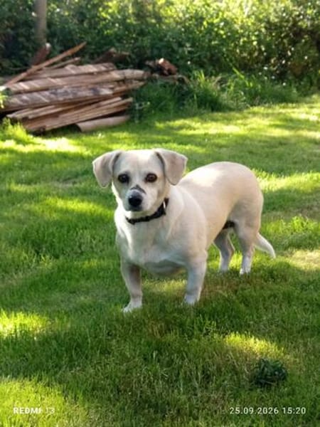 Gretel sucht ihre Familie