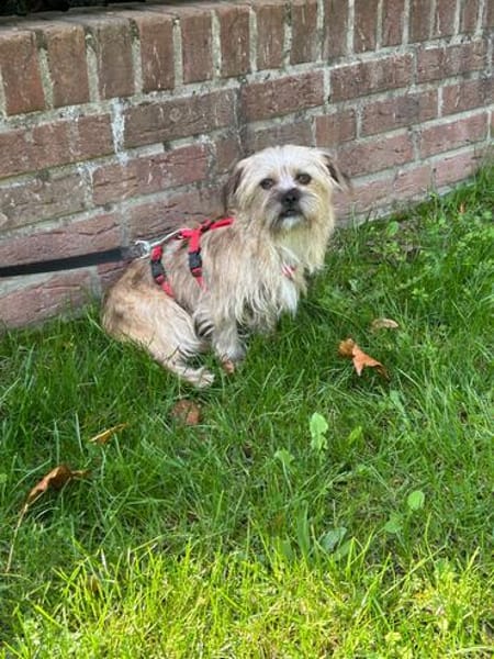 Penny sucht ein Zuhause 🏡
