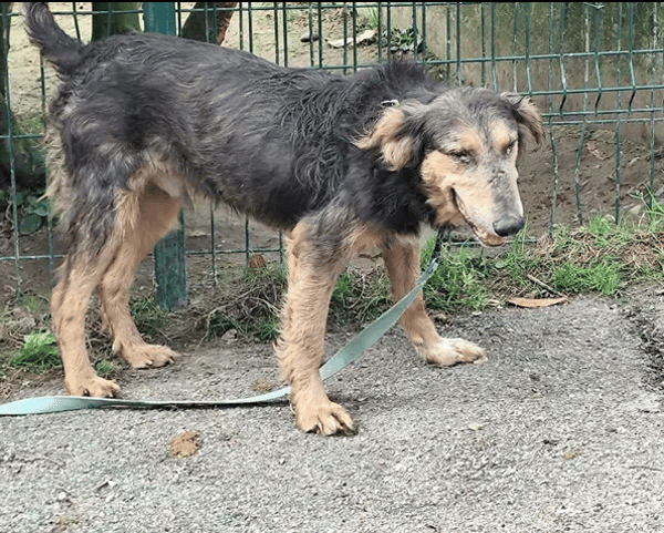 Neo