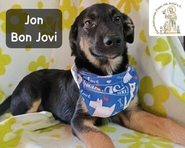 Jon Bon Jovi  sucht Menschen mit Lust auf ein ganzes ...