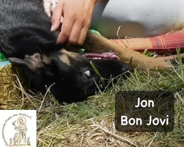 Jon Bon Jovi  sucht Menschen mit Lust auf ein ganzes ...