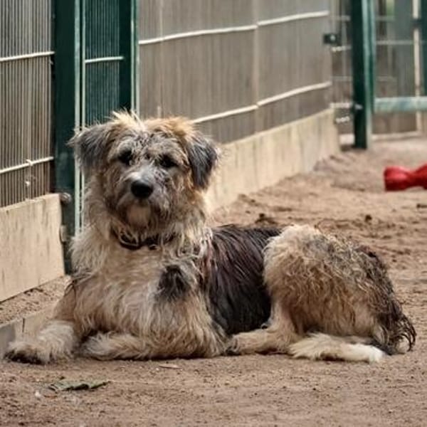 Fergy💕aufmerksam und intelligent