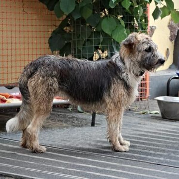 Fergy💕aufmerksam und intelligent
