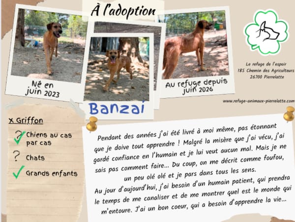 Banzai