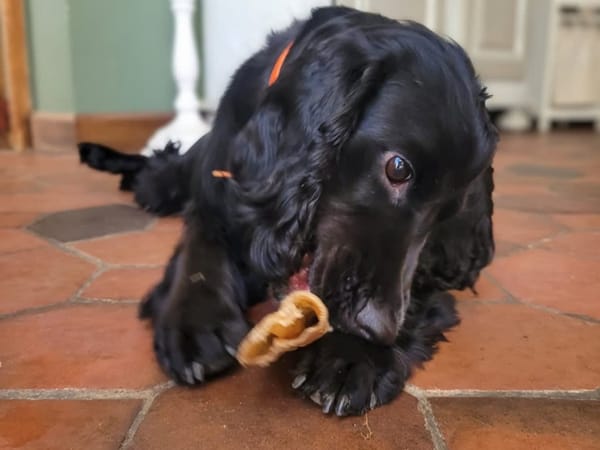 Milo