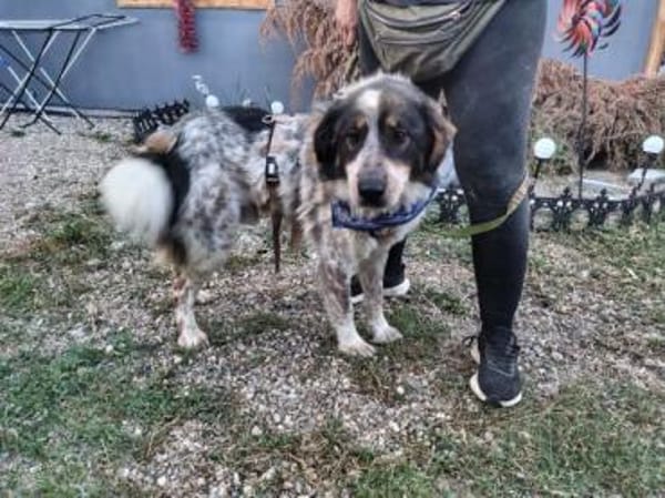 Hingucker Jonte sucht seine Familie