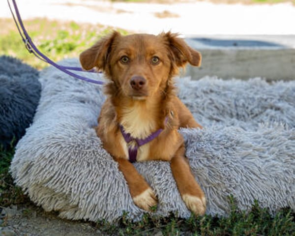 Galina sucht ihr Glück...